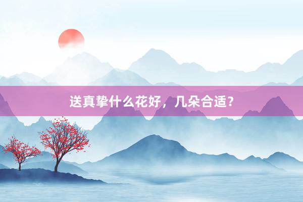 送真挚什么花好，几朵合适？