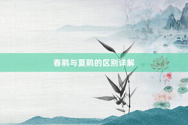 春鹃与夏鹃的区别详解